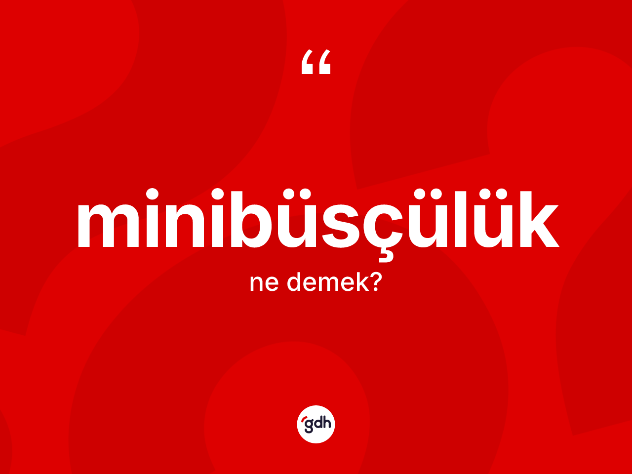 Minibüsçülük ne demek? Minibüsçülük kelimesinin kaç farklı anlamı var?