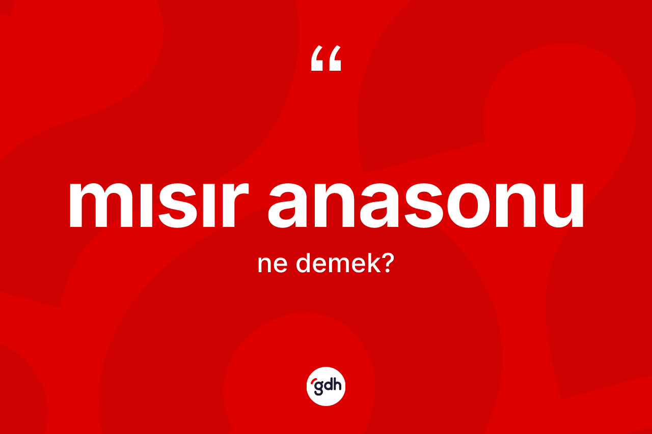 Mısır anasonu kelimesi ne demek? Mısır anasonunun kısaca tanımı nedir?
