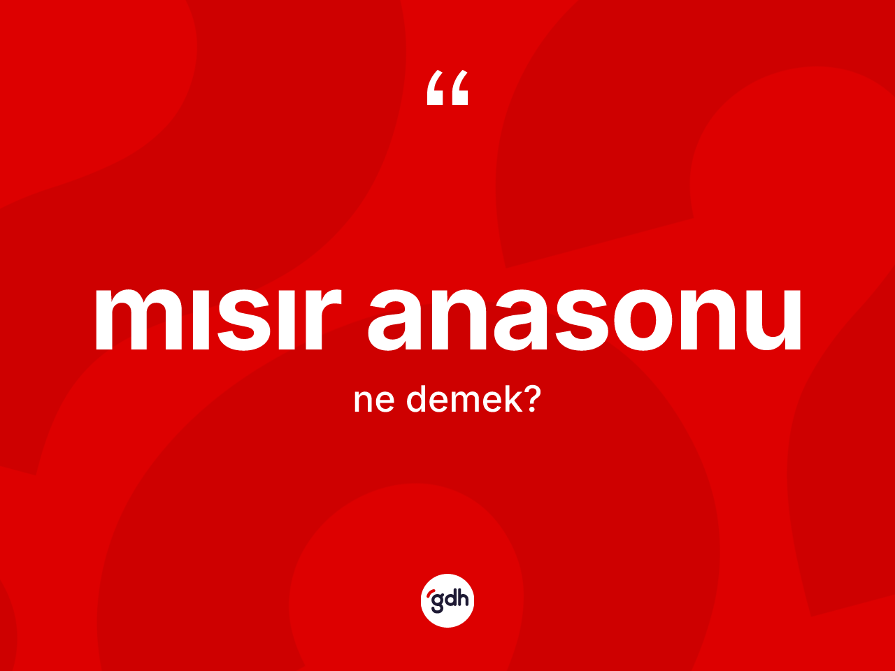 Mısır anasonu kelimesi ne demek? Mısır anasonunun kısaca tanımı nedir?