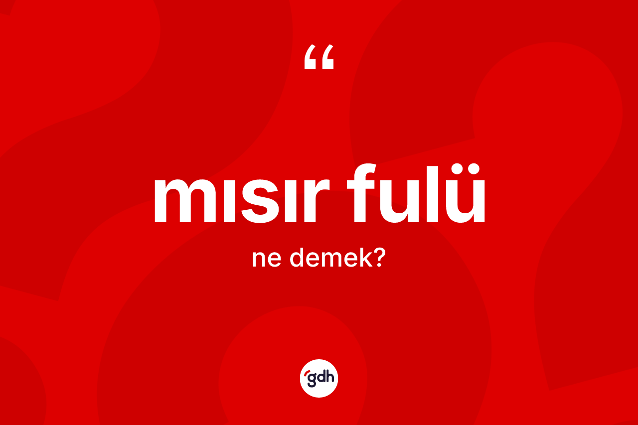 Mısır fulü kelimesinin tanımı nedir? Mısır fulü kelimesinin TDK'ya göre açıklaması nedir?