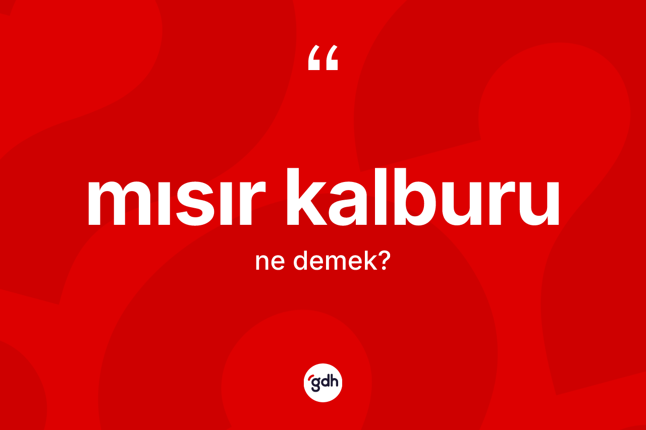Mısır kalburu kelimesinin anlamı nedir? Mısır kalburunun halk arasındaki kullanımı nasıldır?