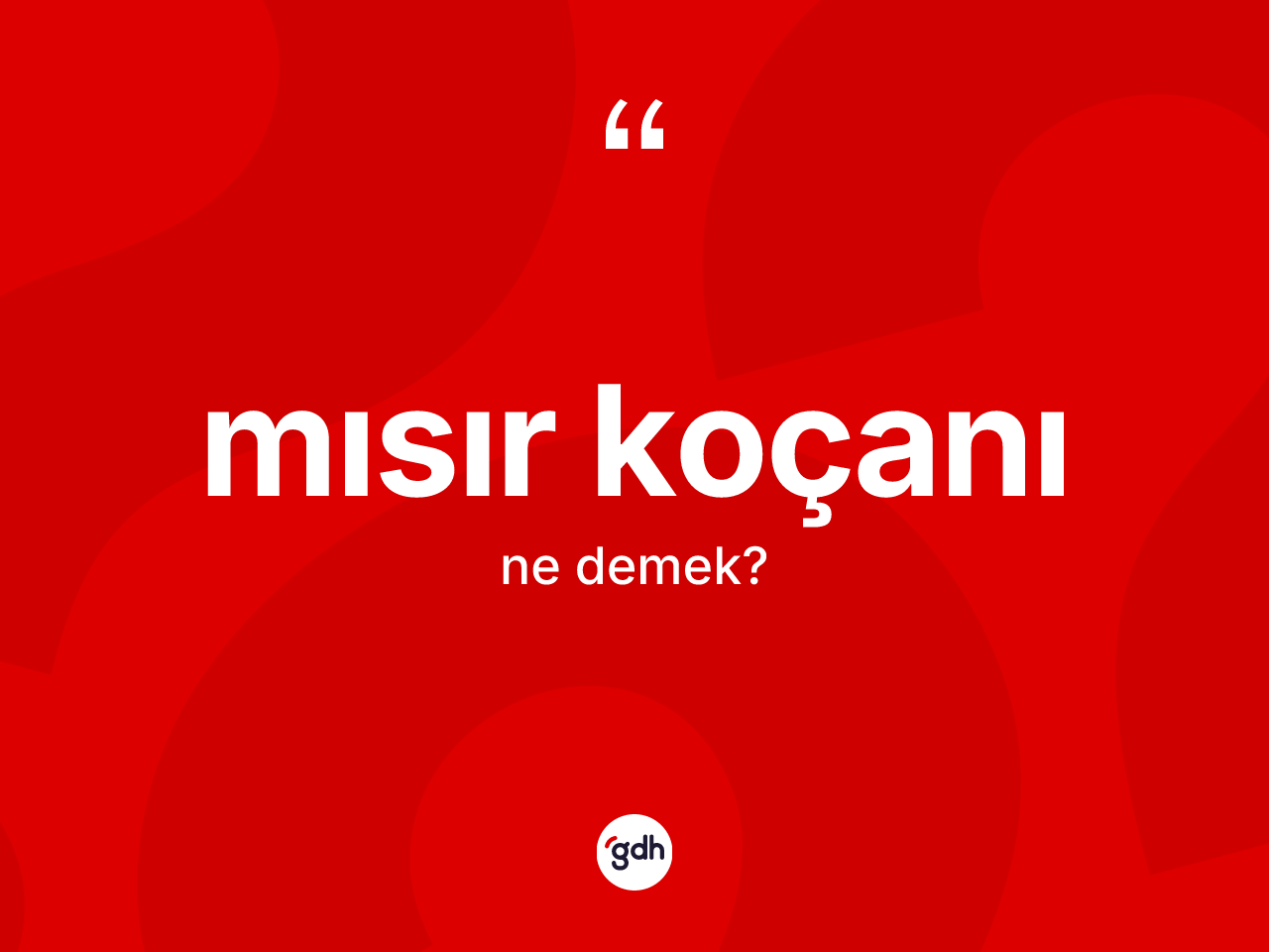 Mısır koçanı  kelimesinin sözlükteki tanımı nedir? Mısır koçanı ın halk arasındaki kullanımı nasıldır?