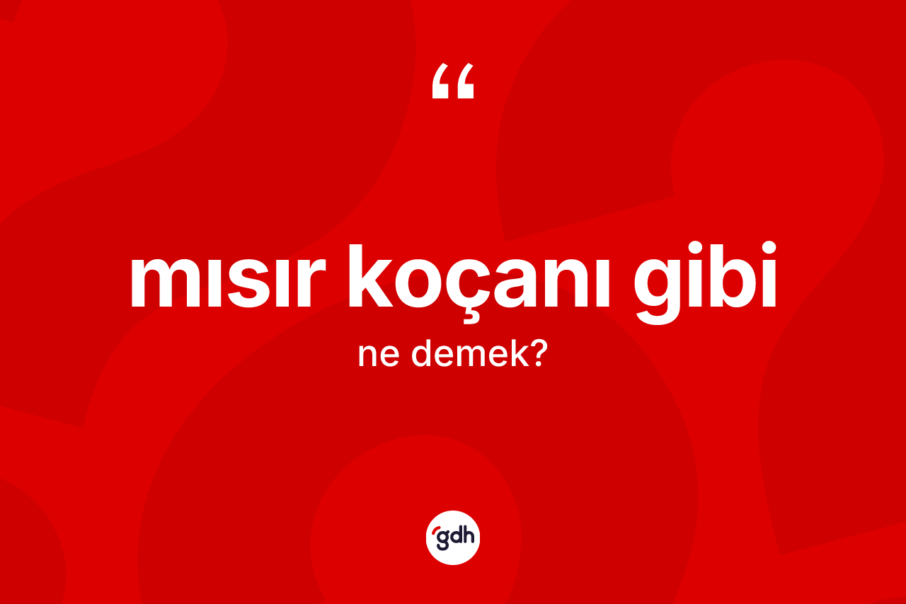 Mısır koçanı gibi ifadesi ne anlama gelir?
