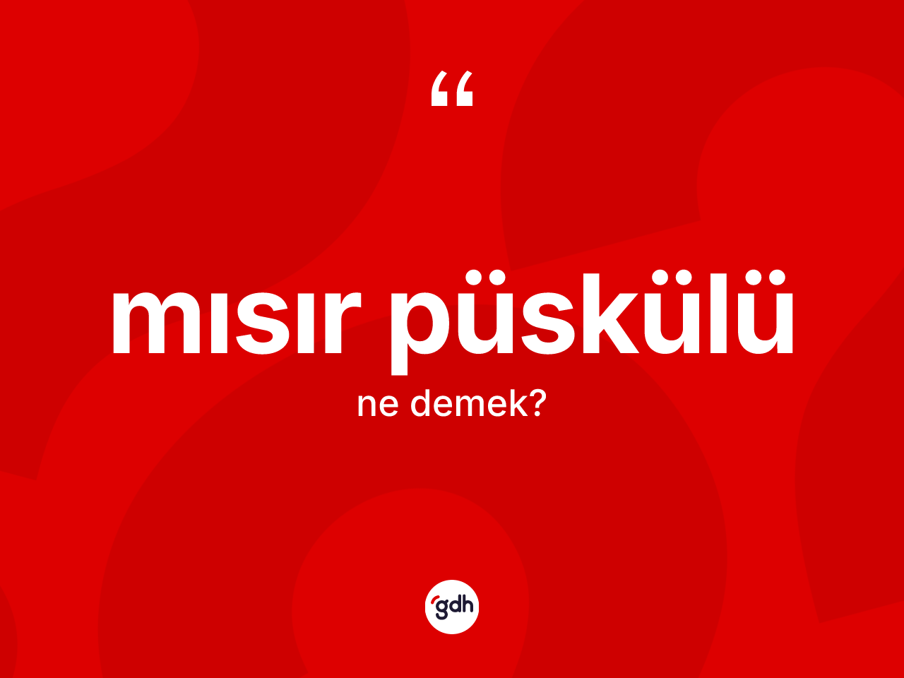 Mısır püskülü kelimesi ne demek? Mısır püskülü kelimesinin TDK'ya göre açıklaması nedir?