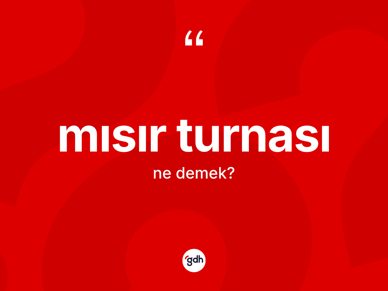 Mısır turnası kelimesi ne anlama gelir? Mısır turnasının TDK'ya göre anlamı nedir?
