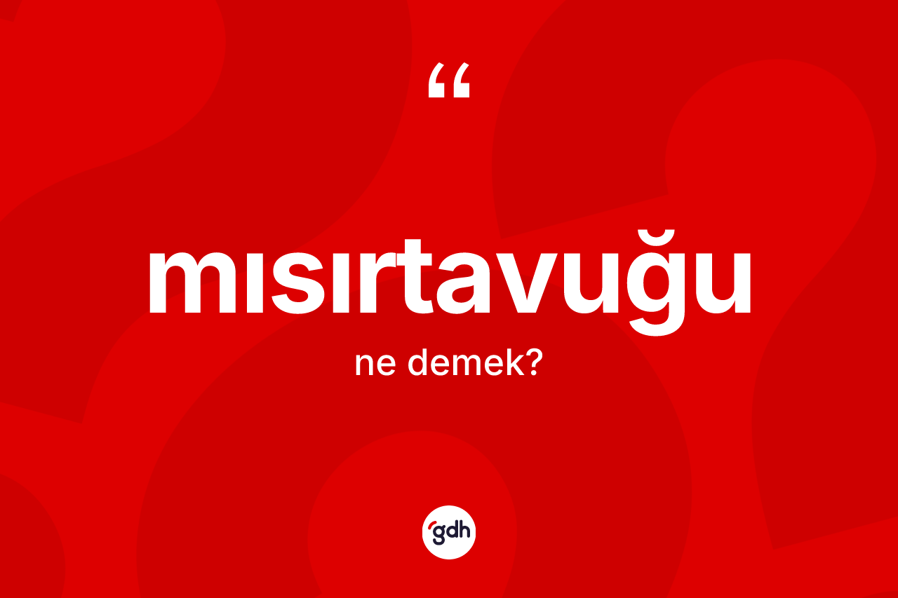 Mısırtavuğu kelimesi ne demek? Mısırtavuğunun TDK'ya göre anlamı nedir?