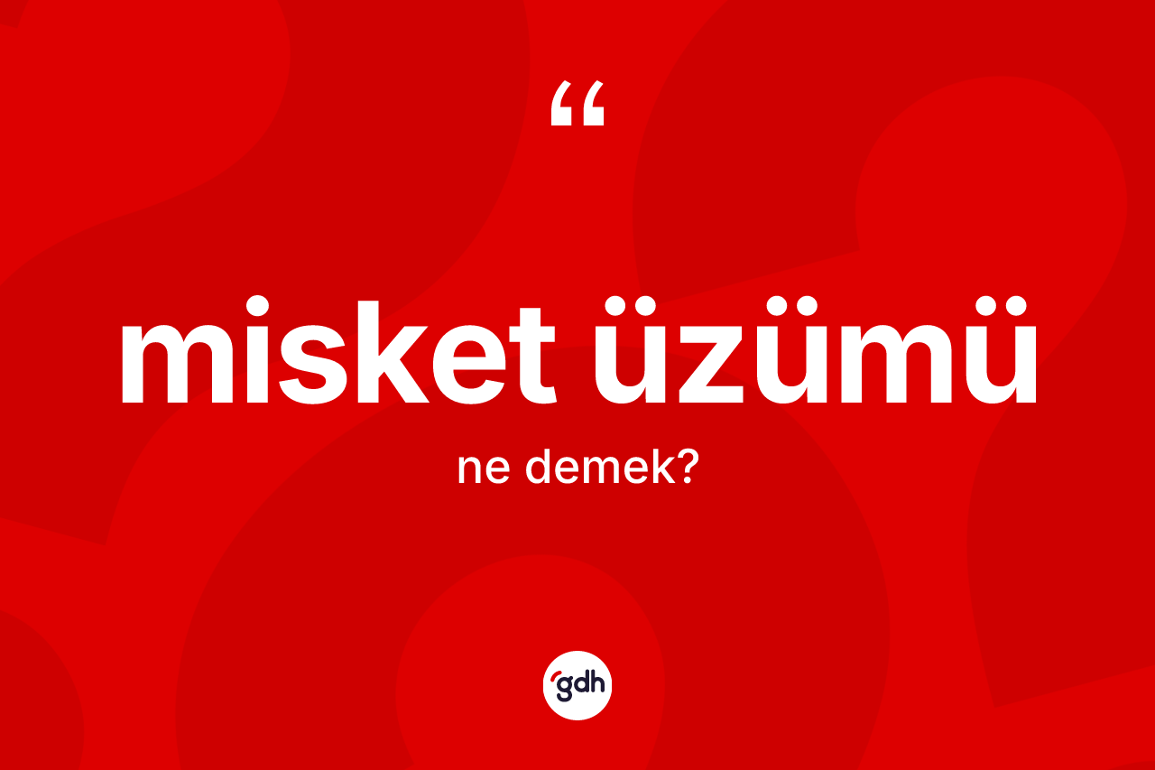 Misket üzümü kelimesinin tanımı nedir? Misket üzümünün TDK'ya göre anlamı nedir?