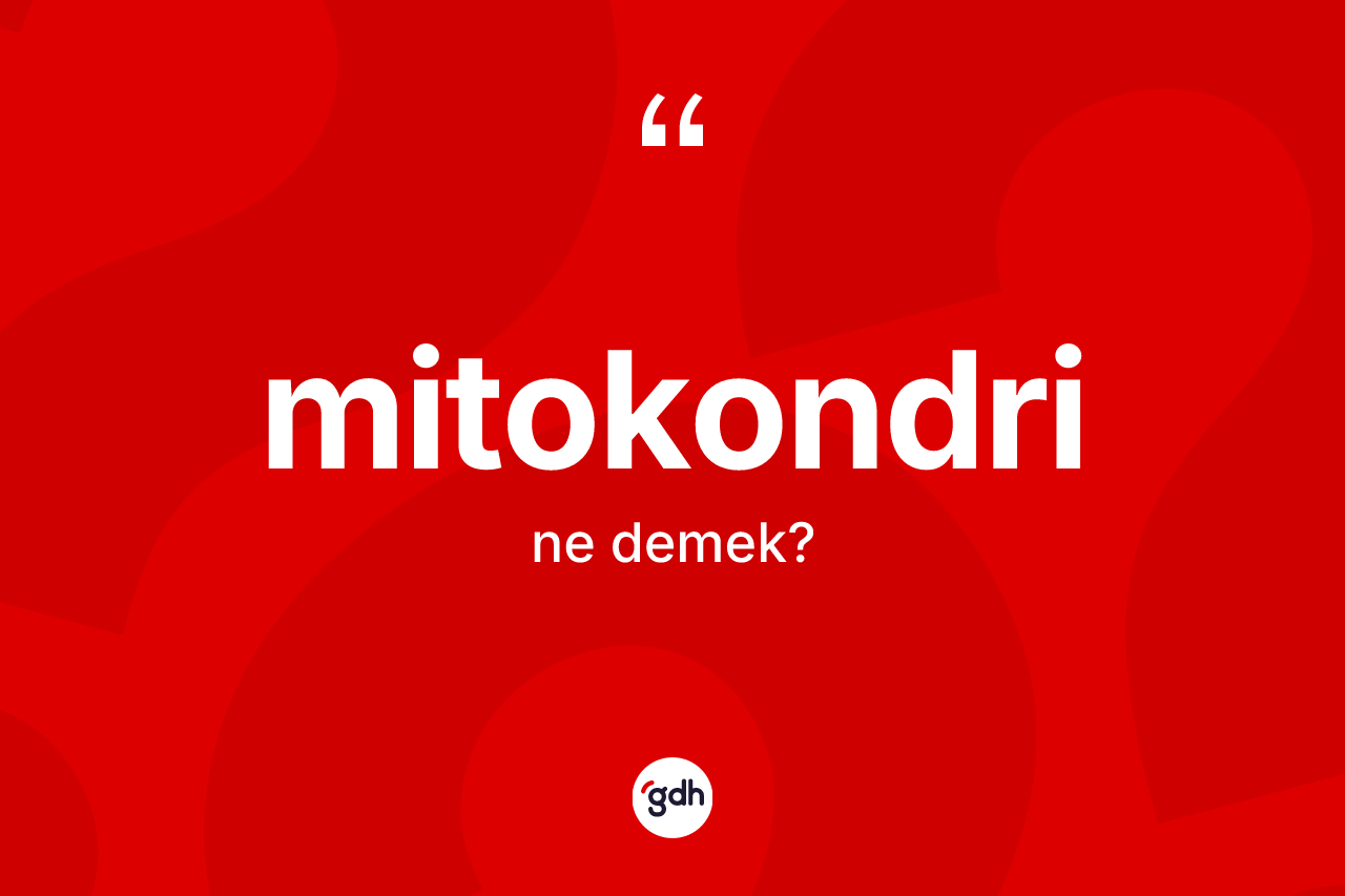 Mitokondri kelimesi ne anlama gelir? Mitokondrinin TDK'ya göre anlamı nedir?