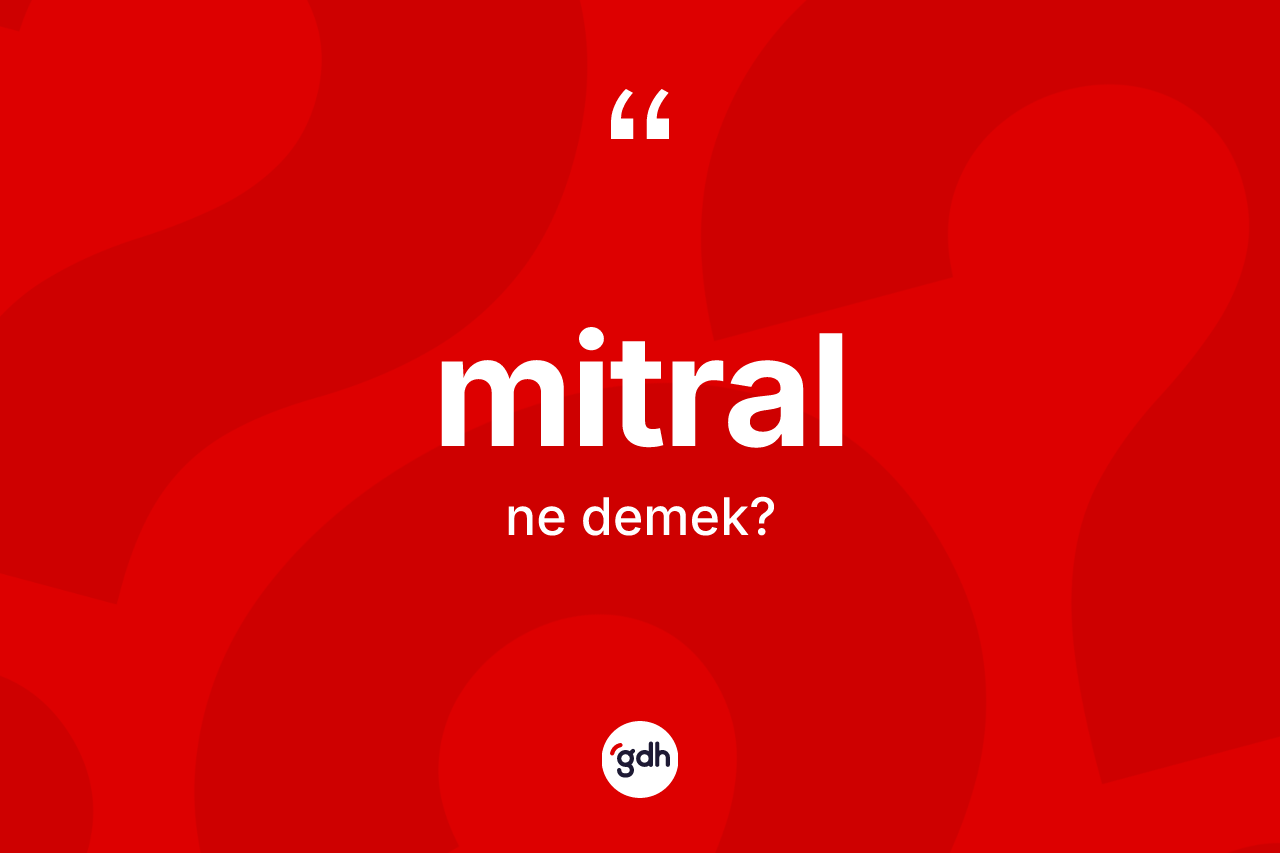 Mitral ne anlama gelir?