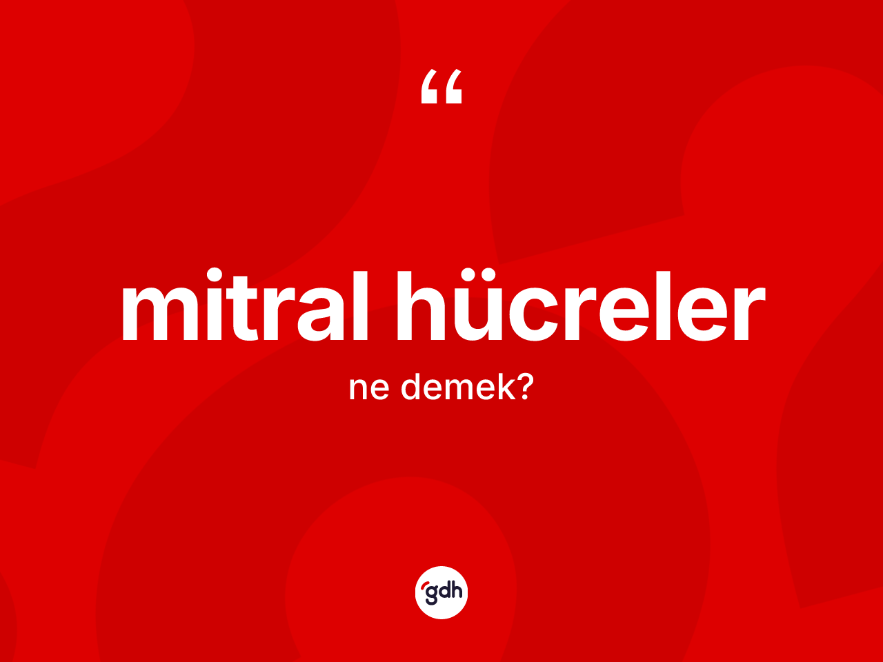 Mitral hücreler kelimesi nedir? Mitral hücrelerin TDK'ya göre anlamı nedir?
