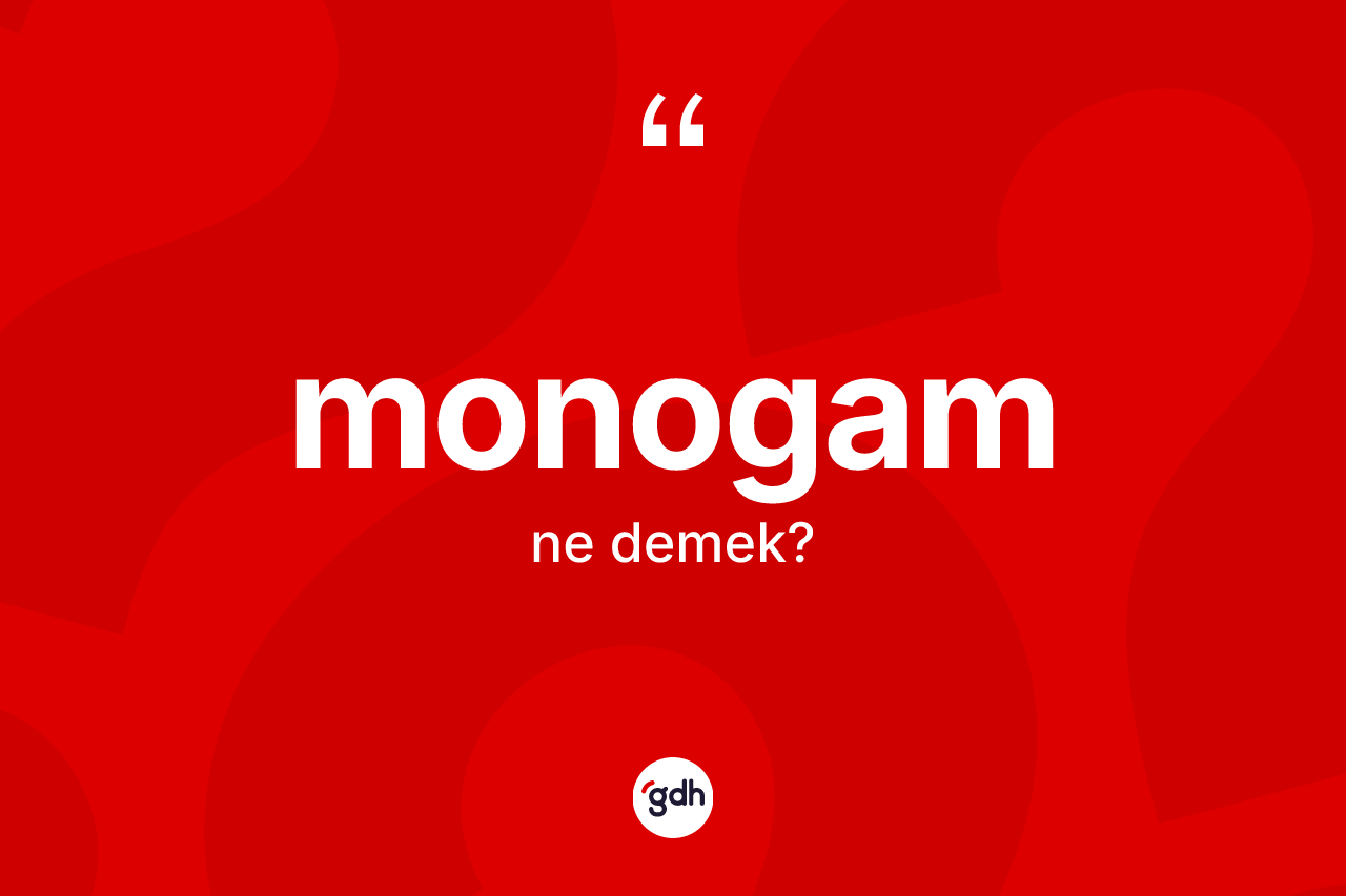 Monogam ne demek? Monogamın TDK'ya göre anlamı nedir?