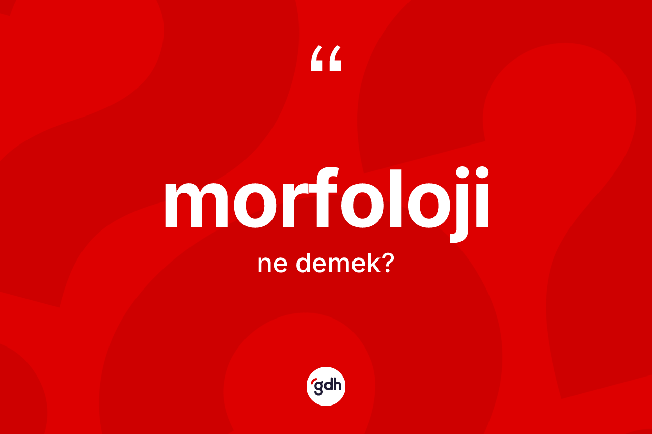 Morfoloji nedir? Morfoloji kelimesinin özellikleri nelerdir?