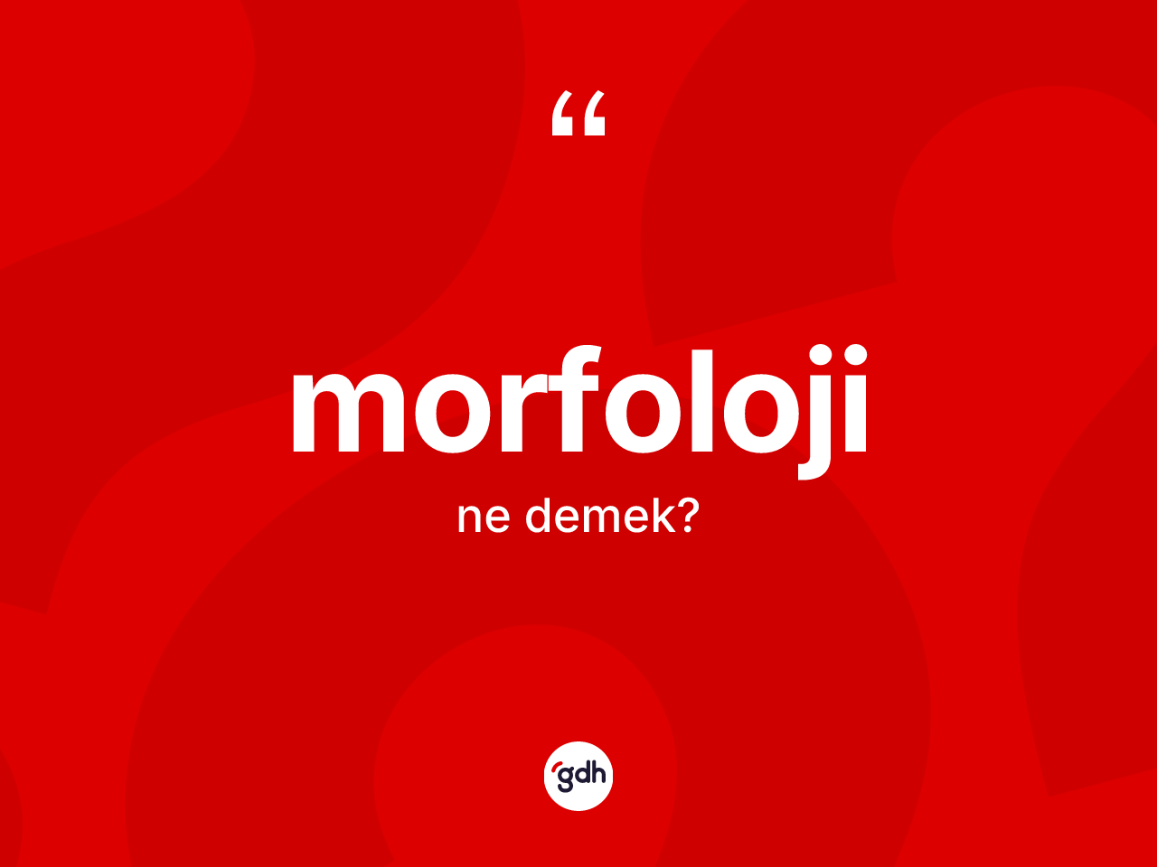 Morfoloji nedir? Morfoloji kelimesinin özellikleri nelerdir?