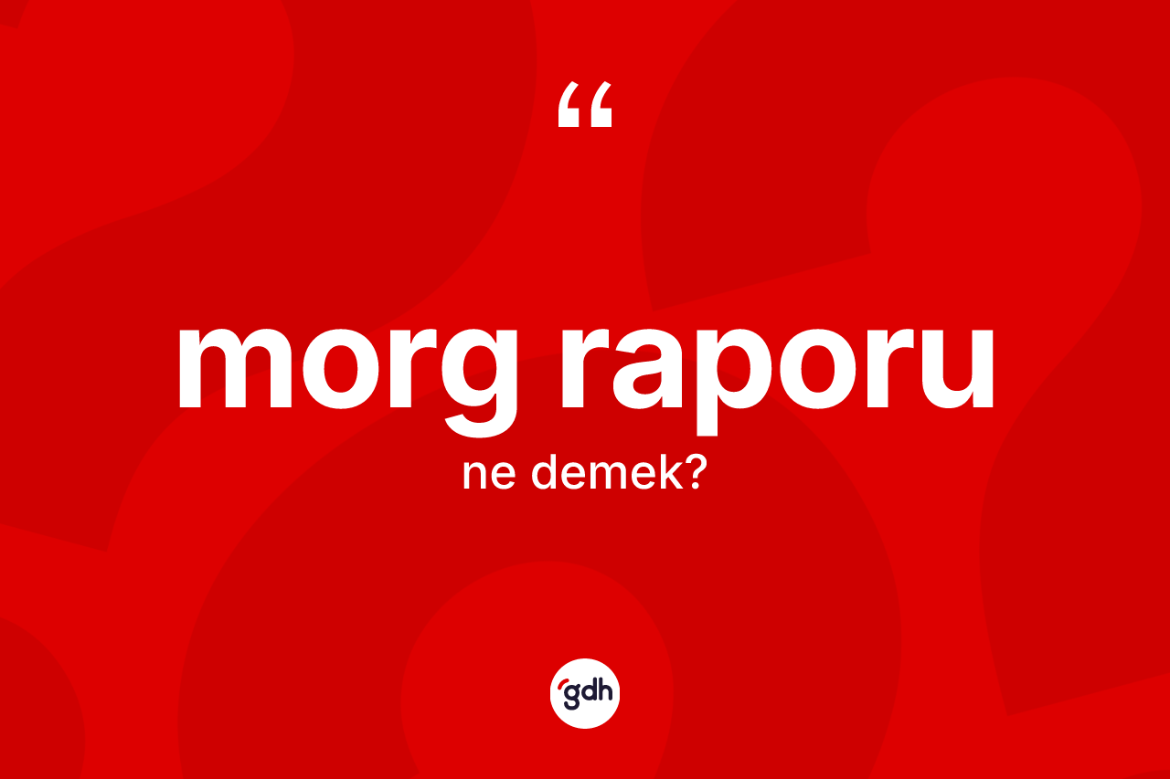 Morg raporu  ne demek?