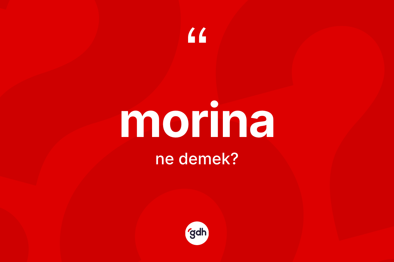 Morina kelimesinin anlamı nedir? Morinanın TDK'ya göre anlamı nedir?