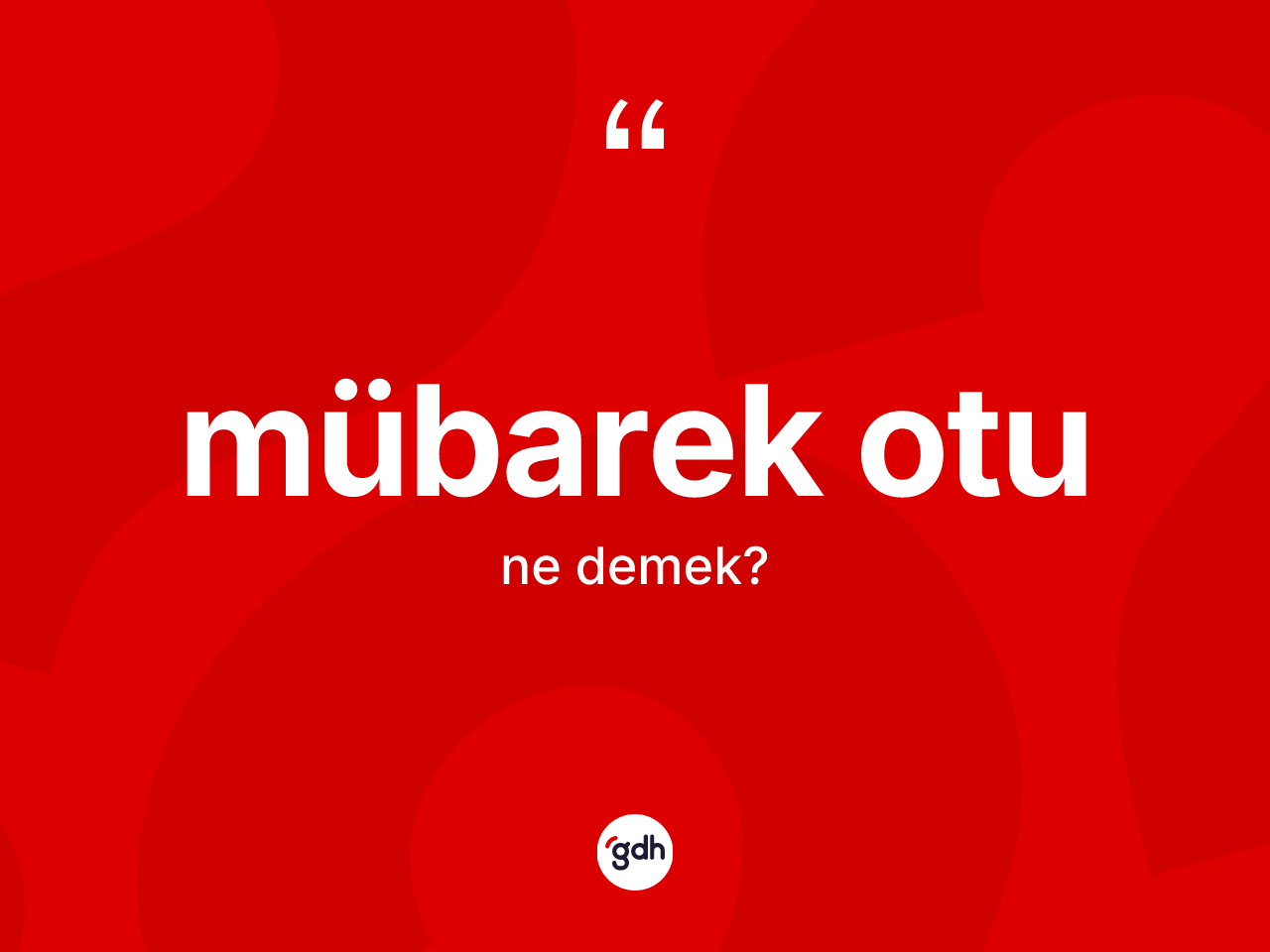Mübarek otu kelimesinin tanımı nedir? Mübarek otunun kısaca tanımı nedir?