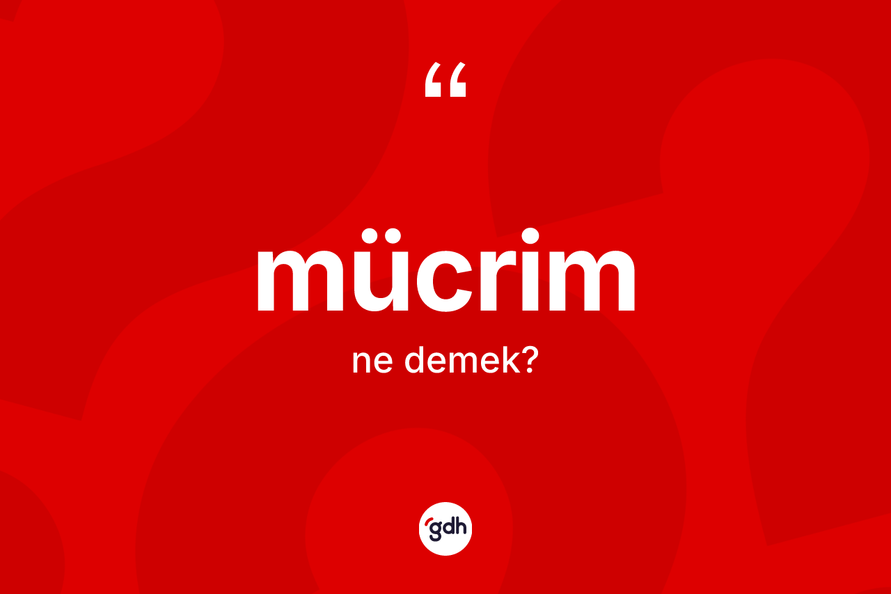 Mücrim kelimesi nedir? Mücrimin TDK'ya göre anlamı nedir?