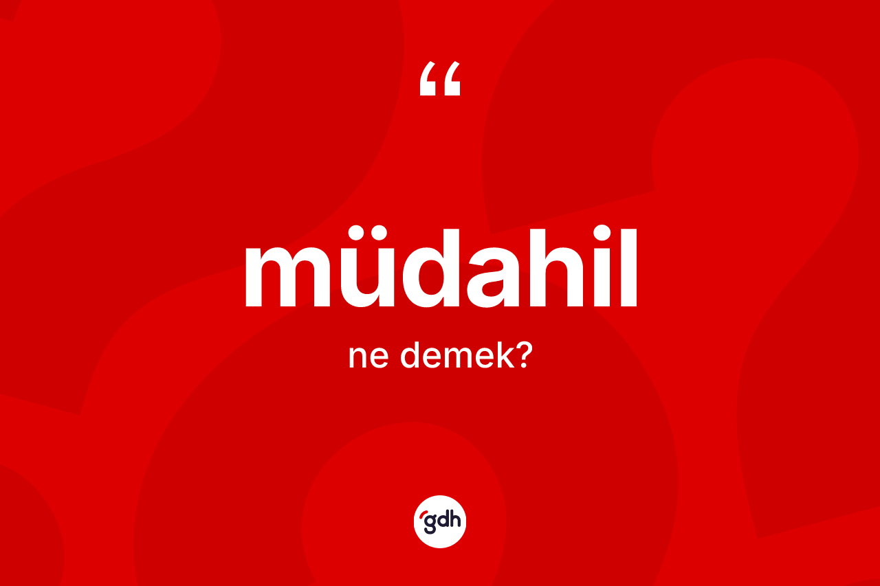 Müdahil ne demek? Müdahilin TDK'ya göre anlamı nedir?
