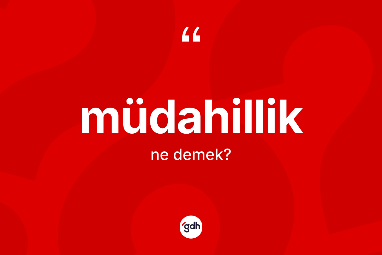 Müdahillik kelimesi ne anlama gelir? Müdahilliğin TDK'ya göre anlamı nedir?