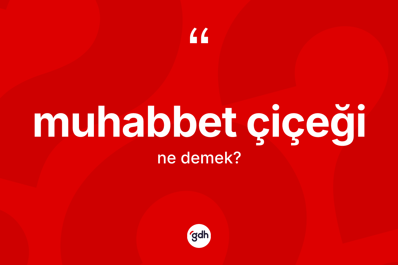 Muhabbet çiçeği kelimesinin sözlükteki tanımı nedir? Muhabbet çiçeğinin TDK'ya göre anlamı nedir?