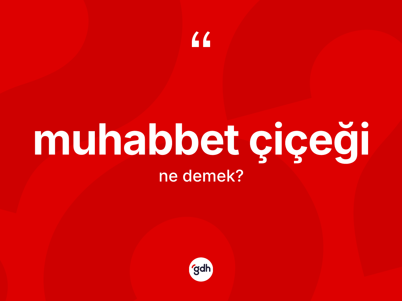Muhabbet çiçeği kelimesinin sözlükteki tanımı nedir? Muhabbet çiçeğinin TDK'ya göre anlamı nedir?