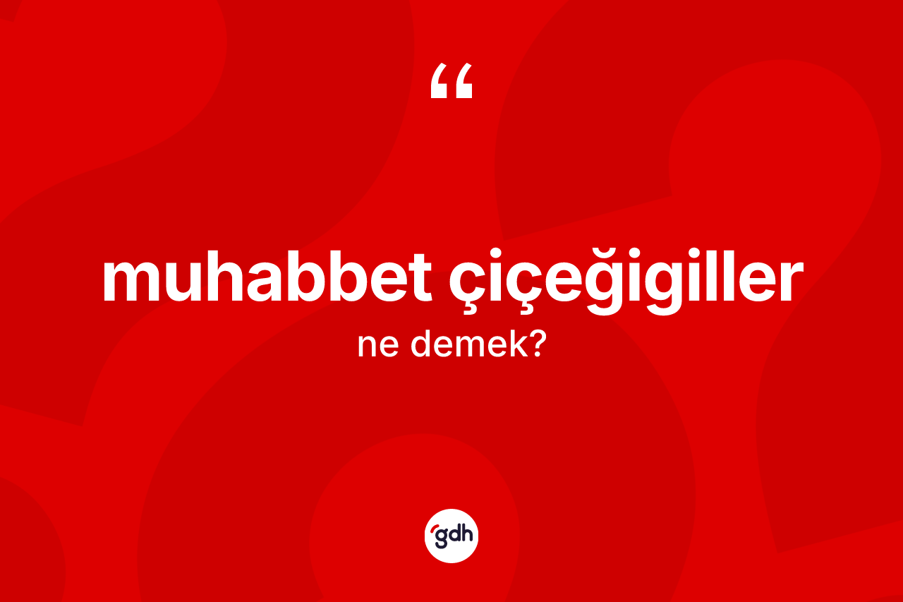 Muhabbet çiçeğigiller kelimesinin anlamı nedir? Muhabbet çiçeğigillerin TDK'ya göre anlamı nedir?
