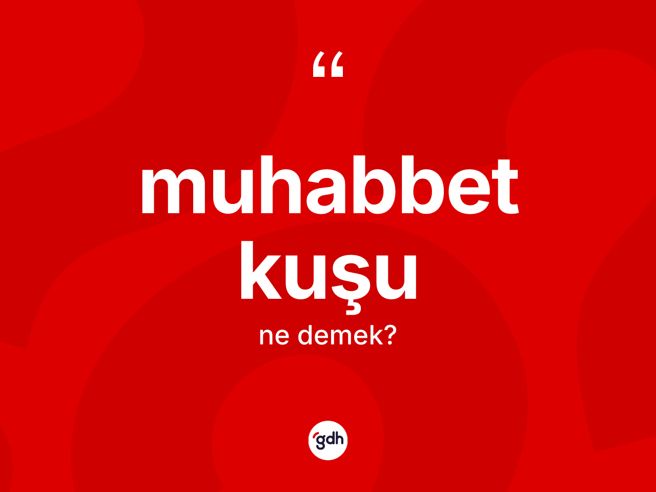 Muhabbet kuşu kelimesinin anlamı nedir? Muhabbet kuşunun TDK'ya göre anlamı nedir?