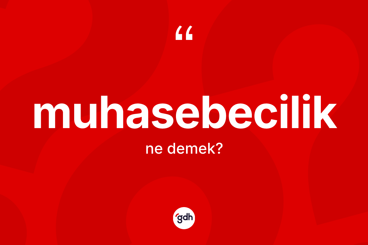 Muhasebecilik nedir?