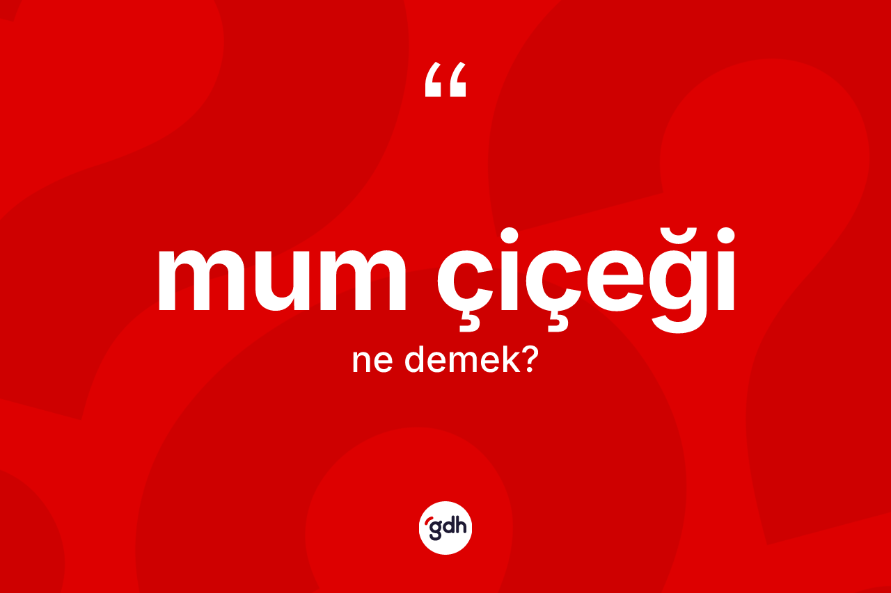 Mum çiçeği kelimesinin tanımı nedir? Mum çiçeğinin kısaca tanımı nedir?