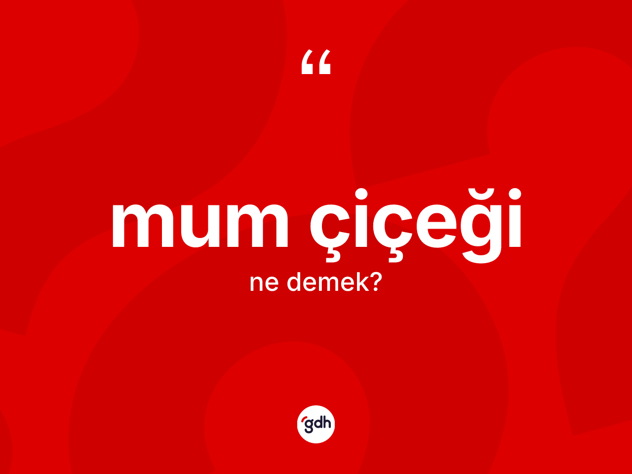Mum çiçeği kelimesinin tanımı nedir? Mum çiçeğinin kısaca tanımı nedir?