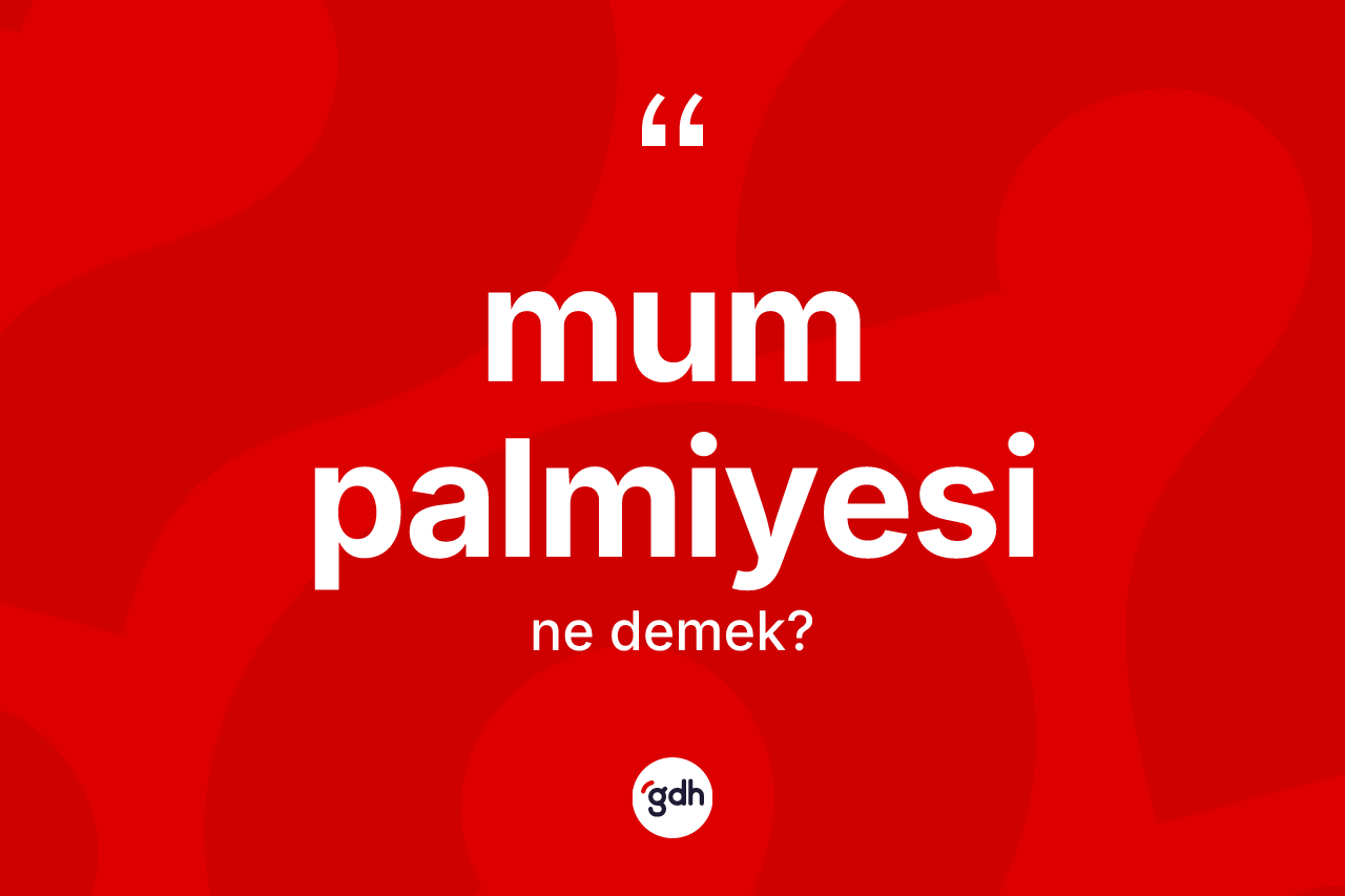 Mum palmiyesi kelimesinin anlamı nedir? Mum palmiyesinin halk arasındaki kullanımı nasıldır?