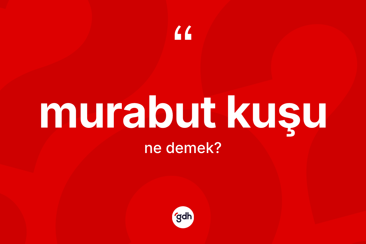 Murabut kuşu kelimesi ne demek? Murabut kuşunun TDK'ya göre anlamı nedir?
