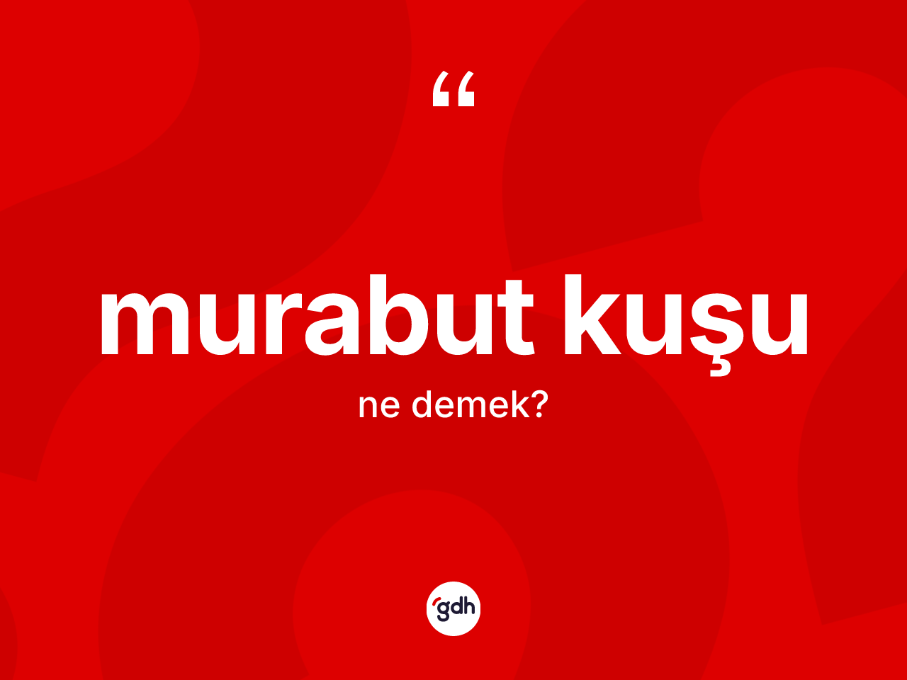 Murabut kuşu kelimesi ne demek? Murabut kuşunun TDK'ya göre anlamı nedir?