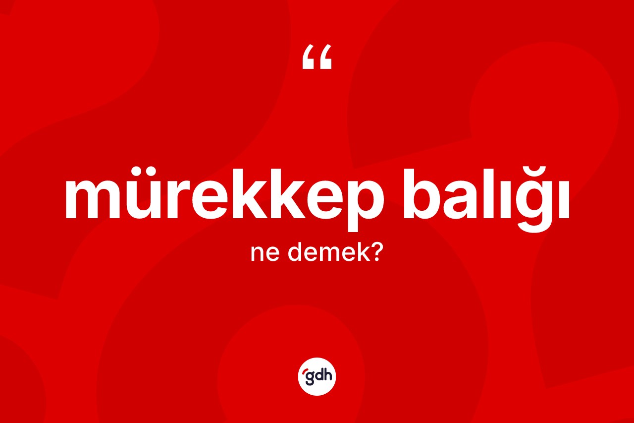 Mürekkep balığı kelimesi ne demek?