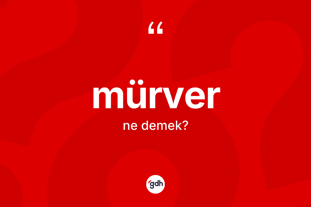 Mürver kelimesinin anlamı nedir? Mürver kelimesinin TDK anlamı nedir?