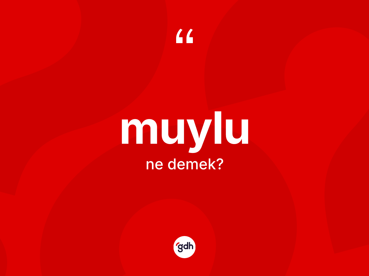 Muylu ne anlama gelir? Muylu kelimesinin kaç farklı anlamı var?