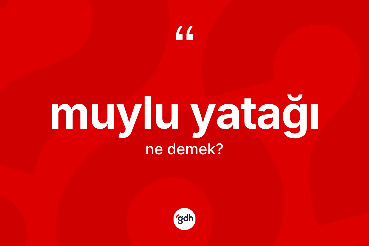 Muylu yatağı kelimesinin sözlükteki tanımı nedir?