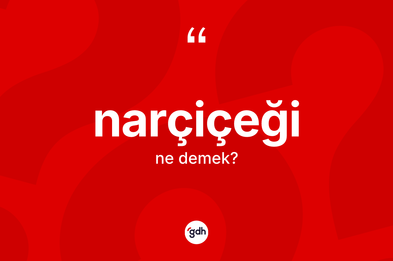 Narçiçeği nedir?