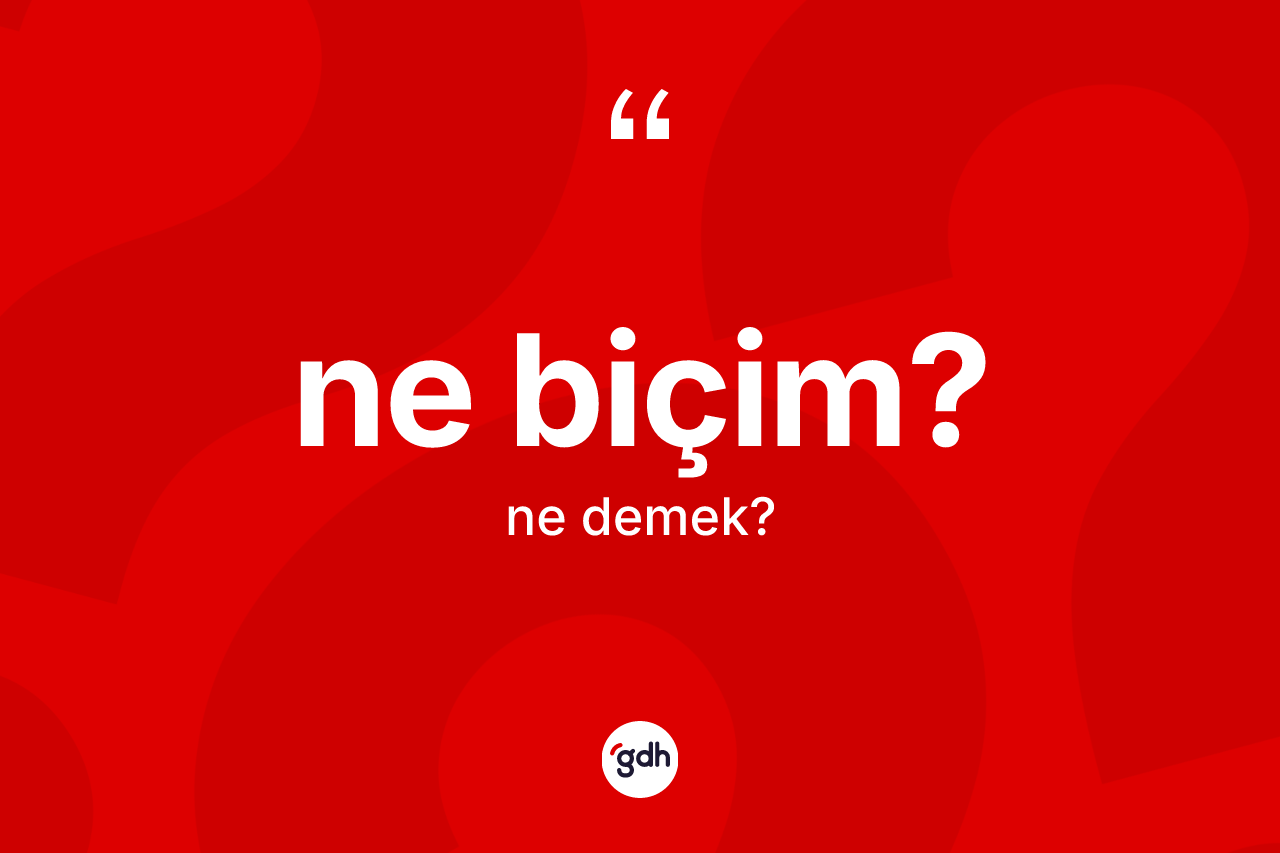 Ne biçim? nedir? Ne biçim? ifadesinin TDK'ya göre anlamı nedir?