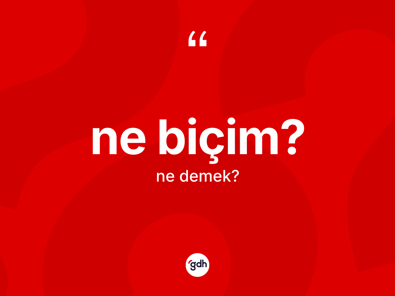Ne biçim? nedir? Ne biçim? ifadesinin TDK'ya göre anlamı nedir?