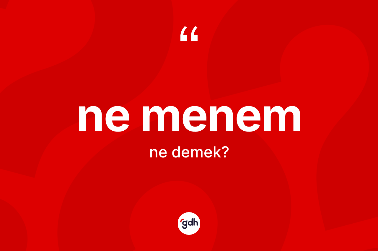 Ne menem ifadesinin kısaca tanımı nedir? Ne menem ifadesi hangi durumlarda kullanılır?