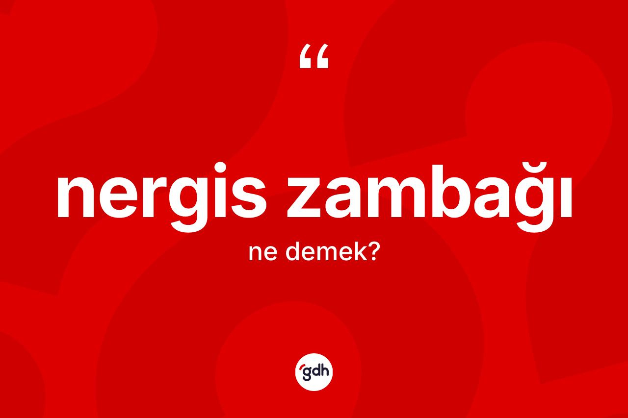 Nergis zambağı kelimesinin sözlükteki tanımı nedir?