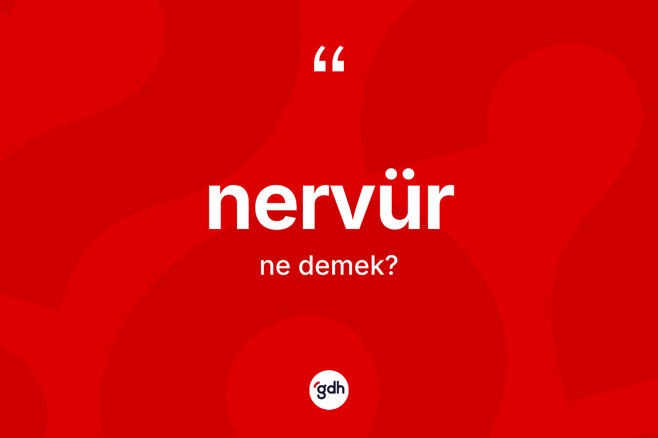 Nervür kelimesi nedir? Nervürün TDK'ya göre anlamı nedir?