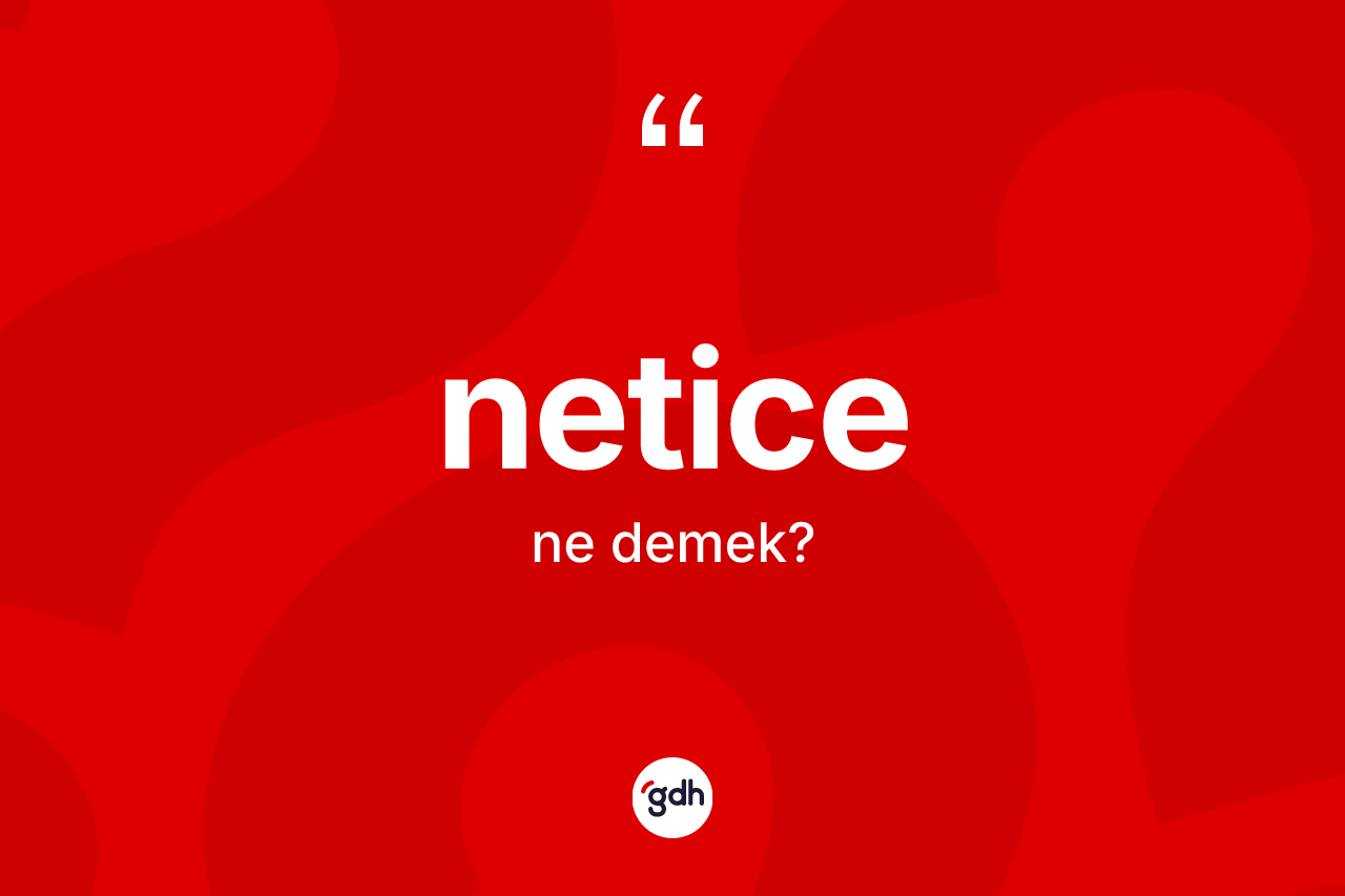 Netice kelimesinin sözlükteki tanımı nedir?