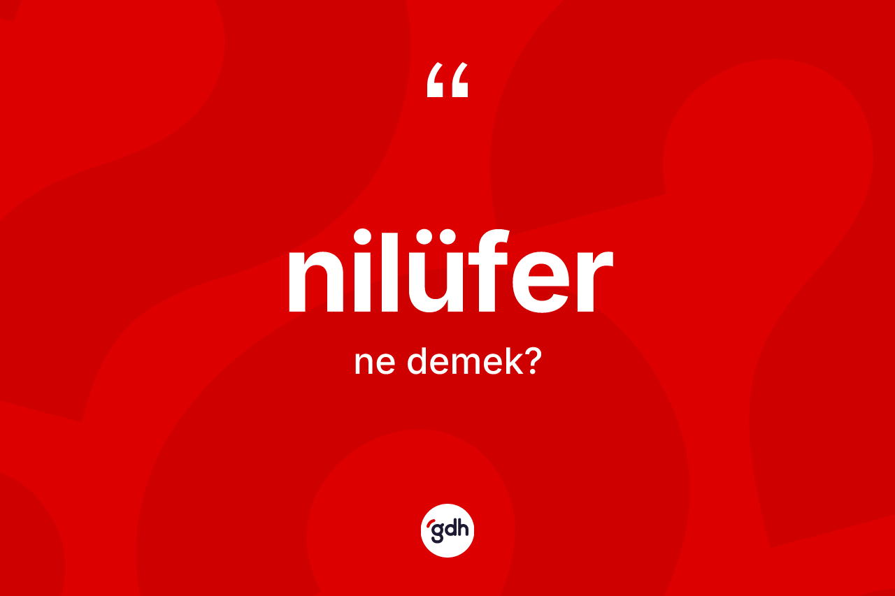 Nilüfer nedir? Nilüferin TDK'ya göre anlamı nedir?