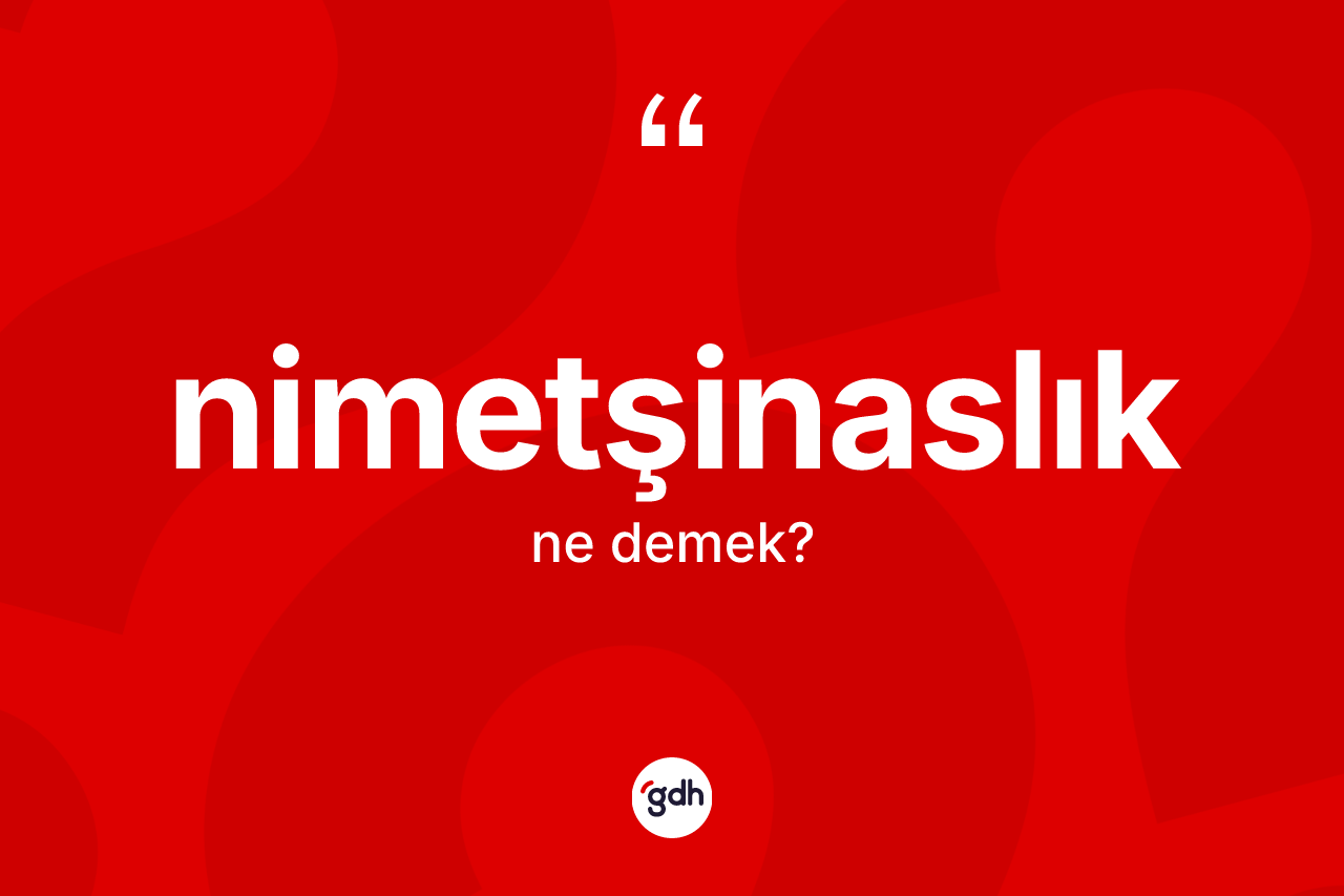Nimetşinaslık kelimesi nedir? Nimetşinaslığın TDK'ya göre anlamı nedir?