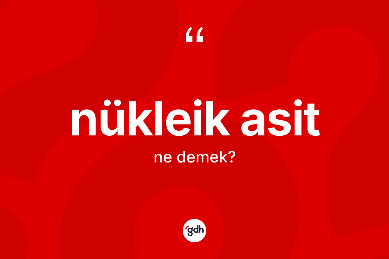 Nükleik asit ne anlama gelir? Nükleik asidin sözlükteki anlamı nedir?