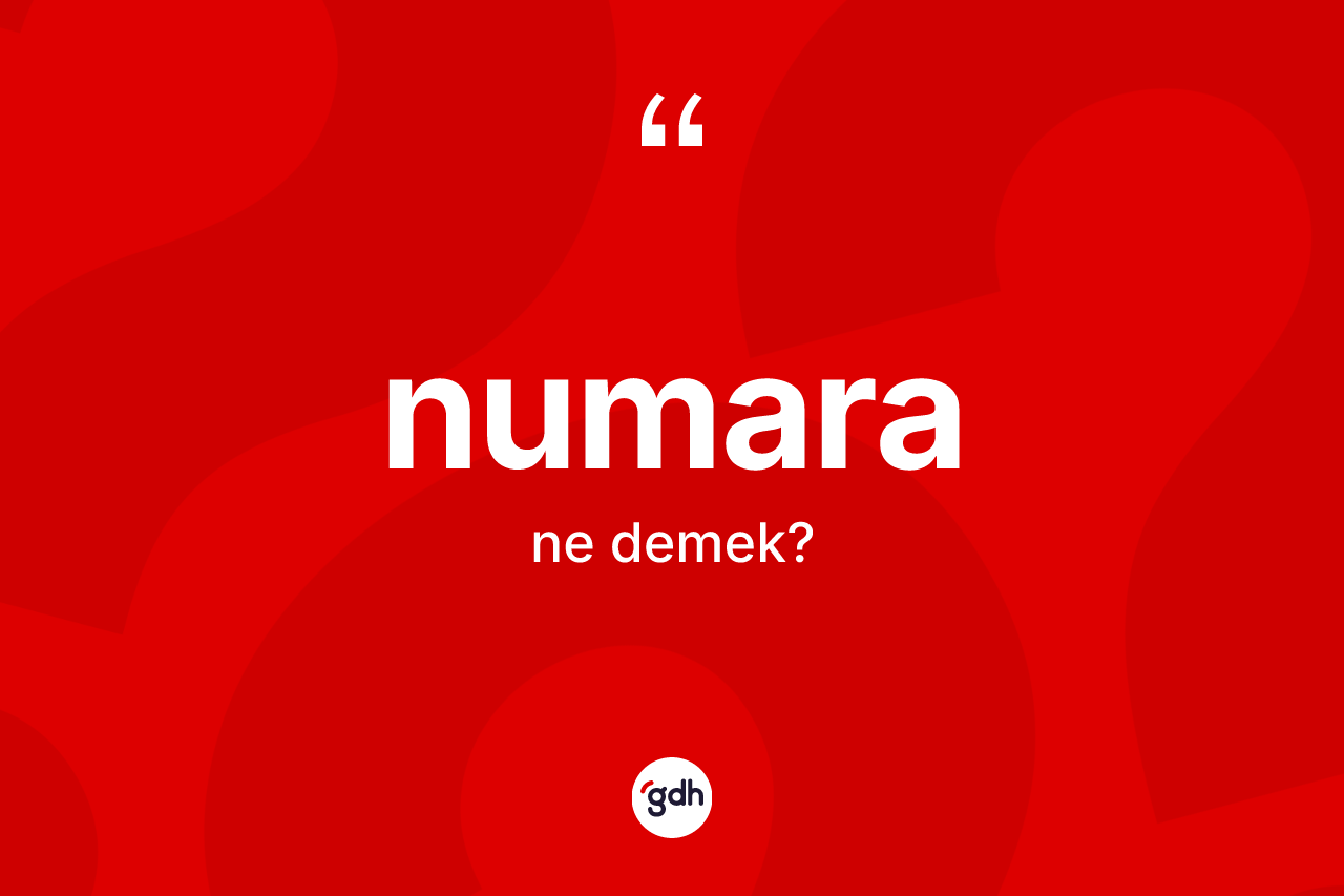 Numara kelimesinin sözlükteki tanımı nedir?