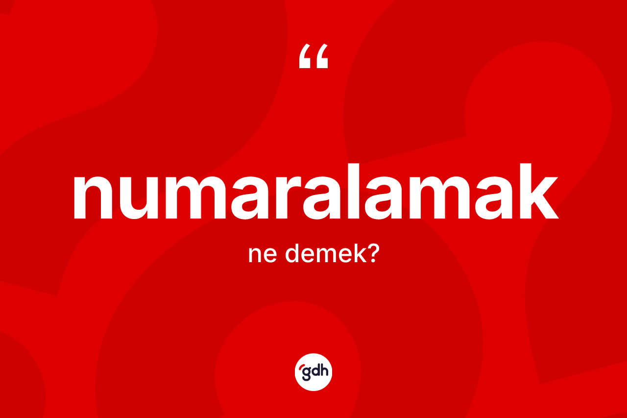 Numaralamak kelimesi ne demek? Numaralamağın TDK'ya göre anlamı nedir?