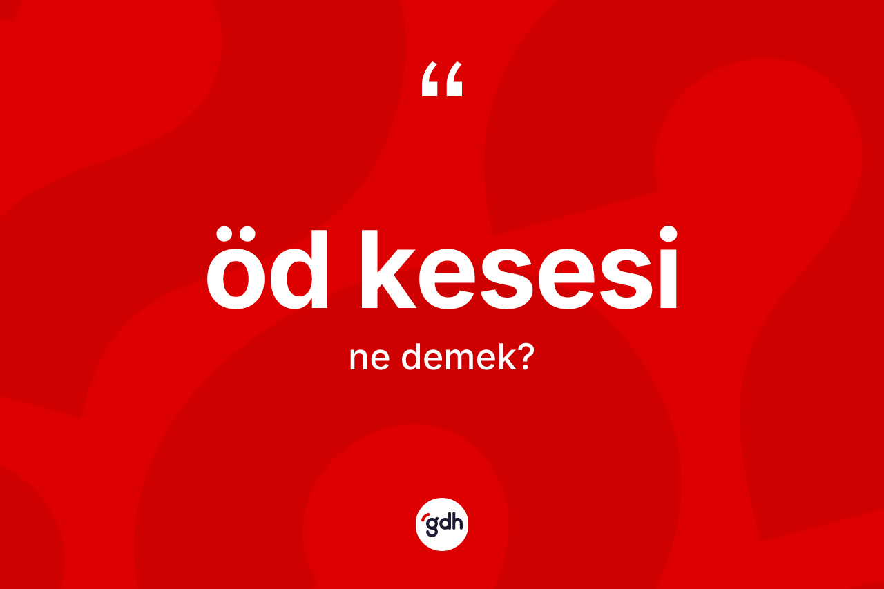 Öd kesesi ne demek? Öd kesesi kelimesinin özellikleri nelerdir?